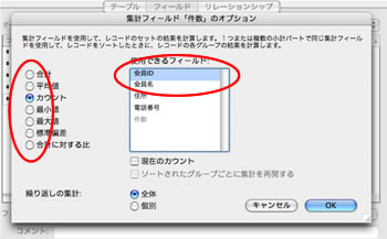 集計フィールド 集計フィールド